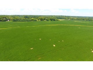 Property photo 49 - LAND AUCTION - 1,193+/- ACRES IN 14 TRACTS IN PIKE & GIBSON COUNTY, INDIANA